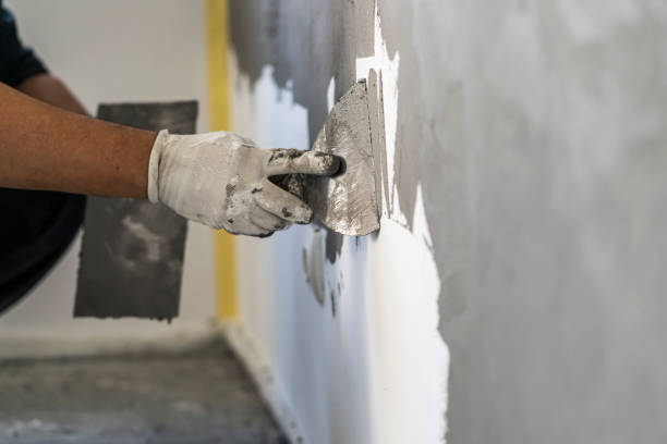 Best Plastering services in London